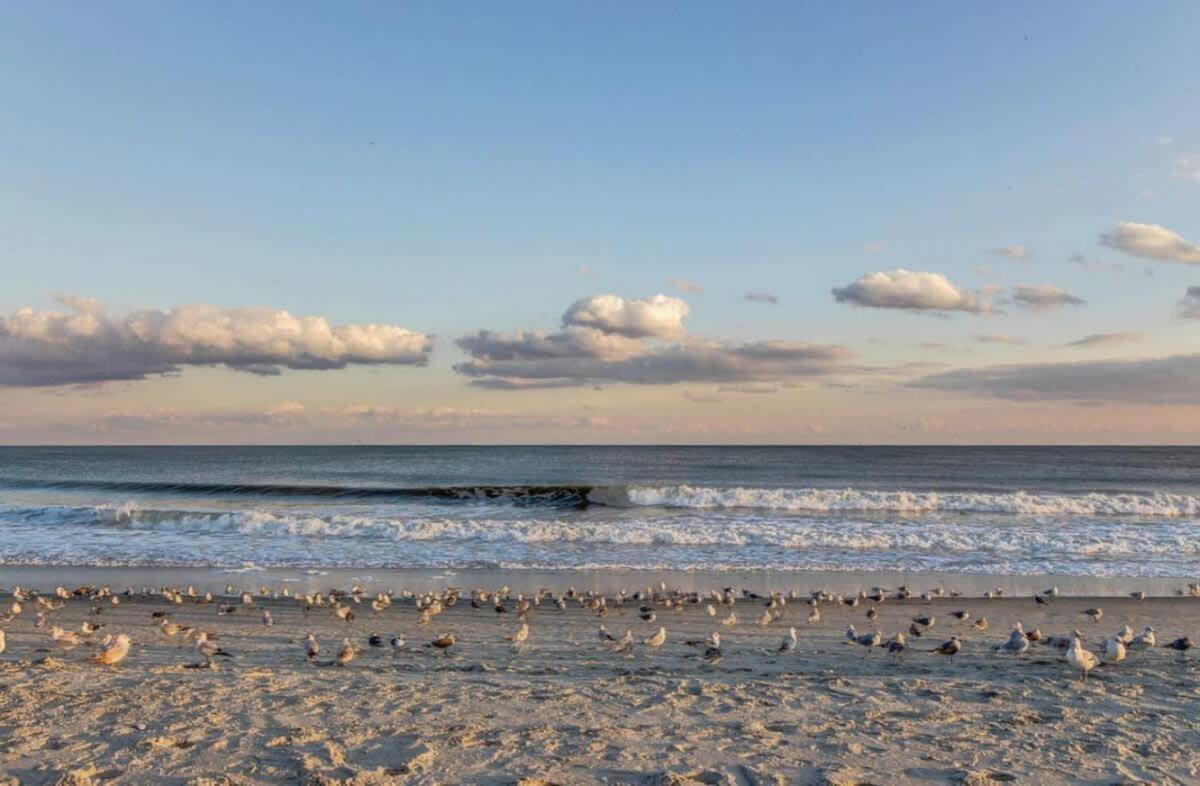 *Oceanfront*Tons Of Amenities*Compass Cove*S107 Villa Myrtle Beach Exteriör bild